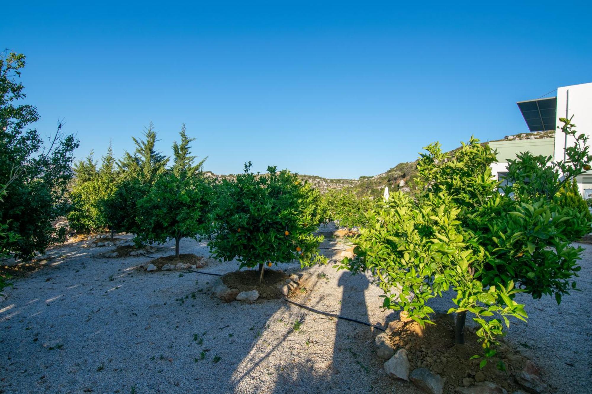 Κatakis Villas Agios Onoufrios Extérieur photo